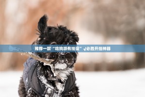 推荐一款“哈狗游有挂没”√必胜开挂神器