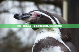 推荐一款开心斗一番确实有透视挂√曝光透视猫腻