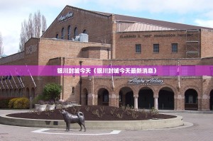 银川封城今天（银川封城今天最新消息）