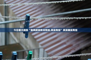 今日重大通报“鱼网皮球有没有挂,其实有挂”其实确实有挂