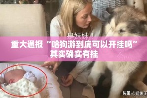 今日重大通报“新金龙究竟有没有透视挂”(真的有挂)-知乎