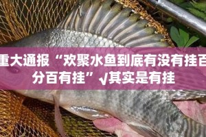 重大通报“欢聚水鱼到底有没有挂百分百有挂”√其实是有挂