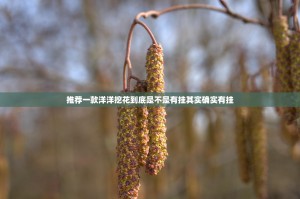 推荐一款洋洋挖花到底是不是有挂其实确实有挂