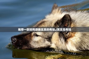 推荐一款哈狗游确实真的有挂√其实是有挂