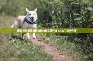 重磅.来袭哥哥跑得快真的确实是有挂√太坑了原来有挂