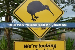 今日重大通报“新道游有没有辅助 ”√其实是有挂