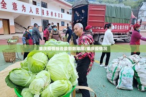 重庆疫情报告最新数据图/重庆疫情况