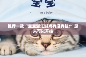 重大通报星火燎原开挂神器2025（果然有挂）