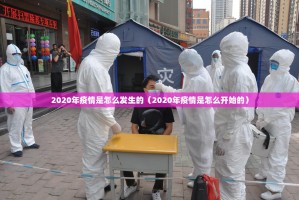2020年疫情是怎么发生的（2020年疫情是怎么开始的）