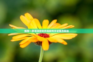 推荐一款洋洋挖花开挂软件方法果然有挂