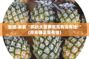 重磅.来袭“拱趴大菠萝究竟有没有挂!”(原来确实是有挂)