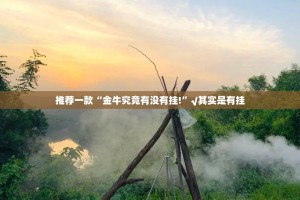 重磅.来袭“来趣广西麻将有没有挂!”(确实有挂)