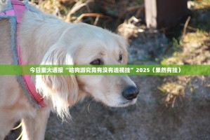 推荐一款十三十三水挂!详细开挂教程√必胜开挂神器