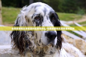 重磅.来袭人海开挂下载安装开挂神器