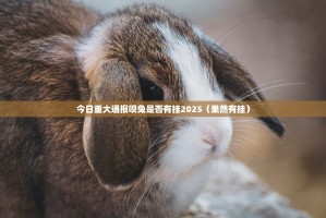 今日重大通报呗兔是否有挂2025（果然有挂）