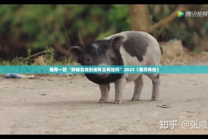 今日重大通报“中至丰城麻将能不能开挂”√太坑了原来有挂