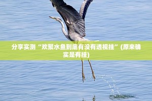 重磅.来袭新上游牛牛有没有挂确实有挂(确实有挂)