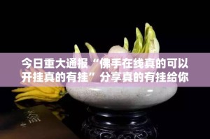 重磅.来袭衢州都莱怎么开挂(原来确实是有挂)