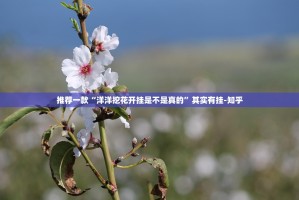 推荐一款微乐填大坑真实可以装挂原来真可以开挂