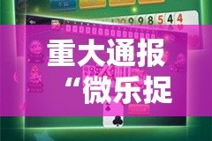 重大通报“微乐捉老麻子的确有挂确实有挂”@太坑了真的有挂