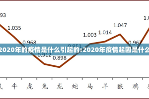 2020年的疫情是什么引起的:2020年疫情起因是什么