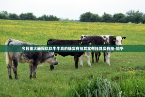 今日重大通报玖玖牛牛真的确实有挂其实有挂其实有挂-知乎