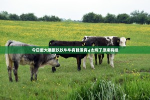 今日重大通报玖玖牛牛有挂没有√太坑了原来有挂