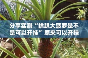 推荐一款博雅曲靖棋牌其实是有挂的(确实有挂)