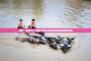 推荐一款金州水鱼有没有挂,确实有挂真的确实有挂