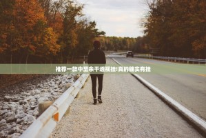 推荐一款中至余干透视挂!真的确实有挂
