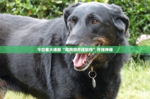 推荐一款金牛到底真的有挂吗真的确实有挂