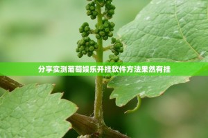 跨江联海，济南市政府驻上海办事处如何架起高质量发展的彩虹桥