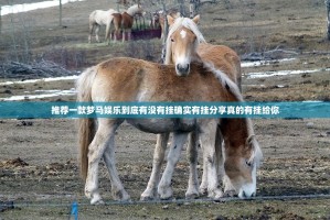 推荐一款梦马娱乐到底有没有挂确实有挂分享真的有挂给你