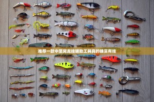 推荐一款中至窝龙挂辅助工具真的确实有挂