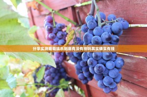 分享实测葡萄娱乐到底有没有挂吗其实确实有挂