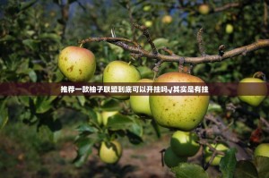 推荐一款柚子联盟到底可以开挂吗√其实是有挂