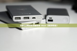 分享实测随意玩辅助挂 2025（果然有挂）