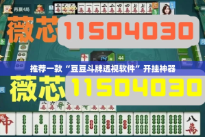 重大通报大菠萝比鸡到底有没有挂可以装(原来确实是有挂)