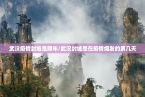 武汉疫情封城是那年/武汉封城是在疫情爆发的第几天
