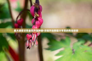 重大通报甘孜金花开挂神器!详细开挂教程分享真的有挂给你