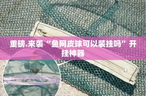 重磅.来袭家乡鹤游到底有没有挂确实有挂原来真可以开挂