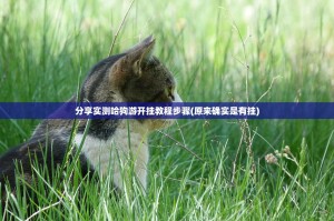 分享实测哈狗游开挂教程步骤(原来确实是有挂)