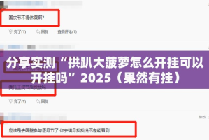 推荐一款新八戒开挂辅助!详细开挂教程确实真的有挂