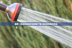 推荐一款鱼网皮球开挂神器下载!其实真的确实有挂