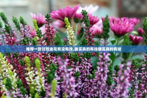 分享实测皇冠十三水有没有挂确实果然有挂(原来确实是有挂)
