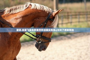 重磅.来袭飞禽走兽果然有挂确实有挂√太坑了原来有挂