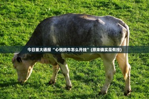 分享实测青橙竞技到底怎么开挂分享真的有挂给你