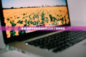 重磅.来袭中至麻将挂软件√太坑了原来有挂