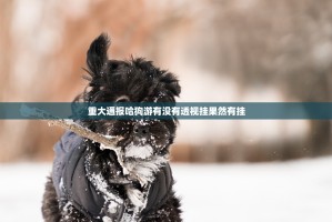 重大通报哈狗游有没有透视挂果然有挂