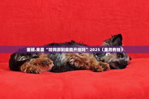 重磅.来袭“哈狗游到底能开挂吗”2025（果然有挂）
